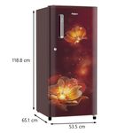 single door fridge dimensions in cm