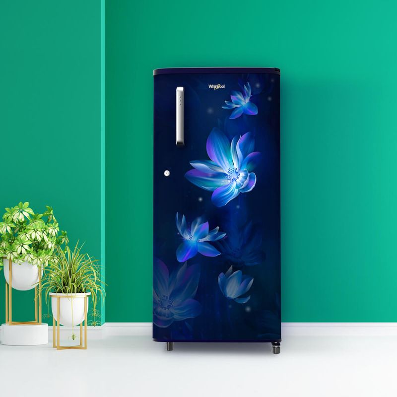 Buy WDE 184L 3 Star Single Door Refrigerator with Handle Rain Online