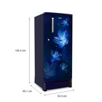 190L-WDE_Flower-Rain-ROY_Blue_dimension