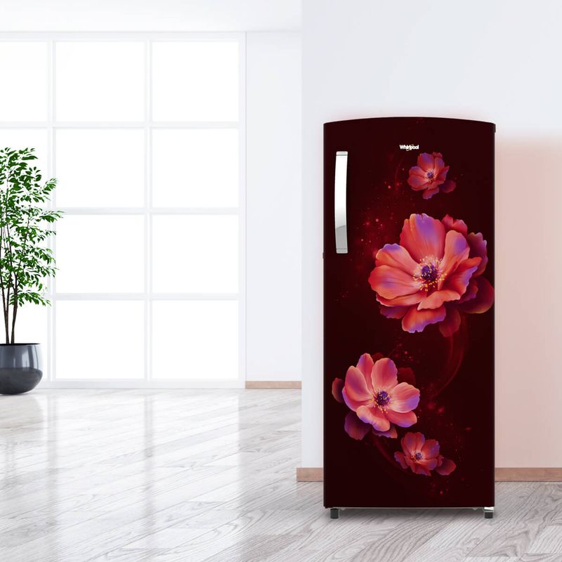 215L-IMPRO-4S_Antelia-PRM_Wine_Lifestyle