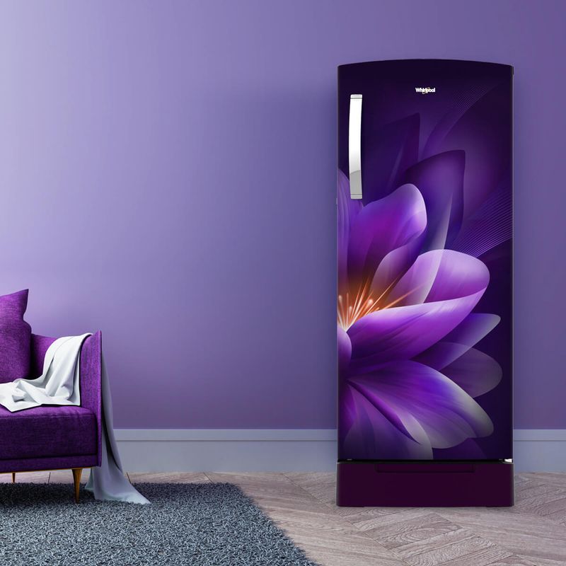 200L-IMPRO_Forest-ROY_Purple_Lifestyle
