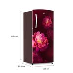 200L-IMPRO_French-Peony-PRM_Wine_dimension