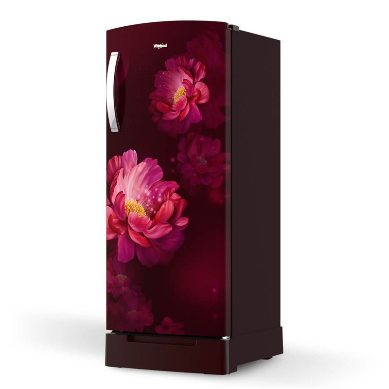 200L-IMPRO_French-Peony-ROY_Wine_right