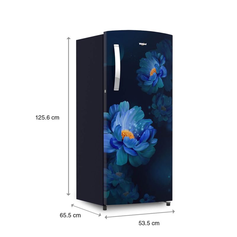 200L-IMPRO_French-Peony-PRM_Blue_dimension