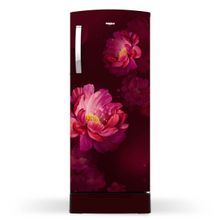 Icemagic Pro 192L 4 Star Single-Door Refrigerator with Base Drawer - Peony