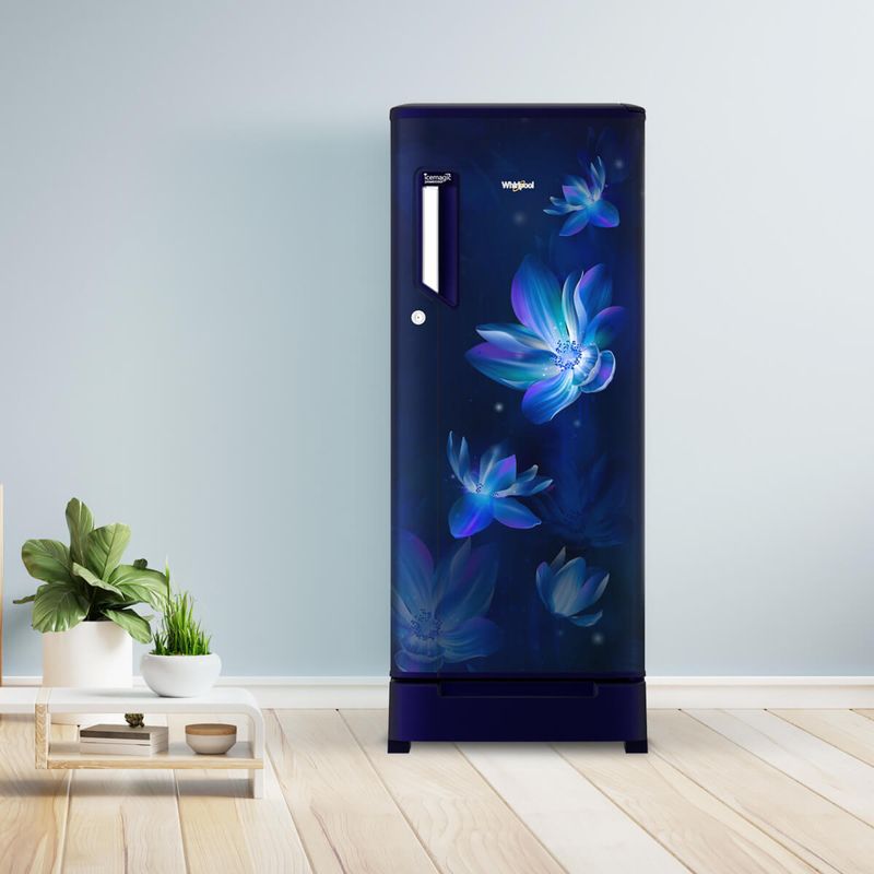 190L-IMPC-_Flower-Rain-ROY_Blue_Lifestyle