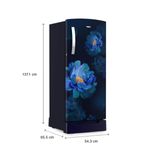 200L-IMPRO_French-Peony-ROY_Blue_dimension