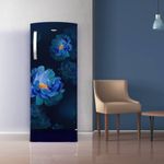 200L-IMPRO_French-Peony-ROY_Blue_Lifestyle