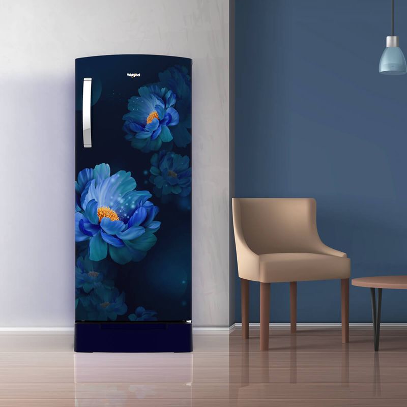 200L-IMPRO_French-Peony-ROY_Blue_Lifestyle