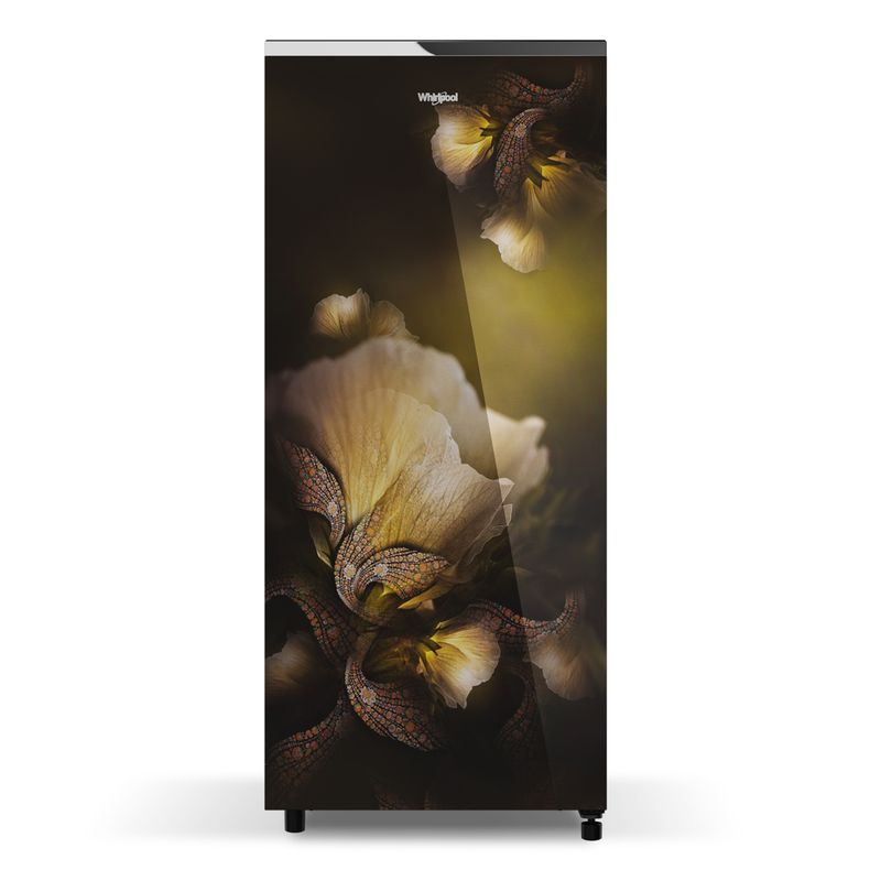 200L-Gold-Dust-front_1200x1200_1