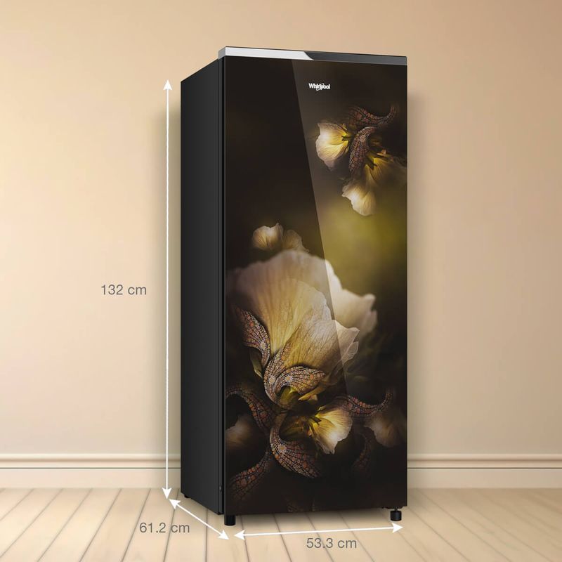 215L-Gold-Dust-Dimension_1200x1200