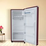 200L-Swarna-Wine--open_1200x1200